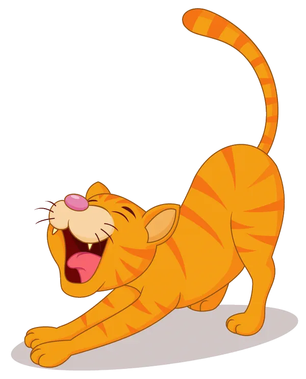 Egy nyújtózkodó cica