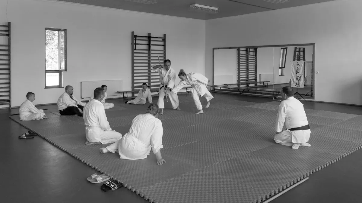 Aikido Ferivel