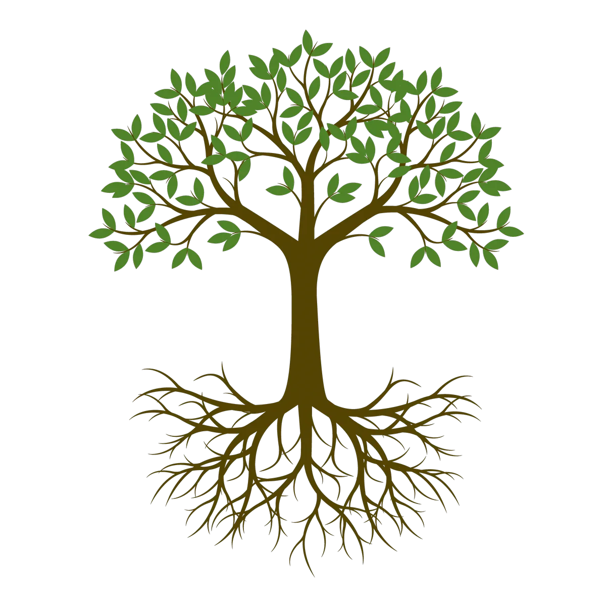 Mély állás és gyökerezés